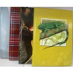 Thumbnail_cam00091__1_
